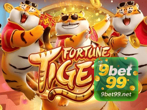 bet_主图